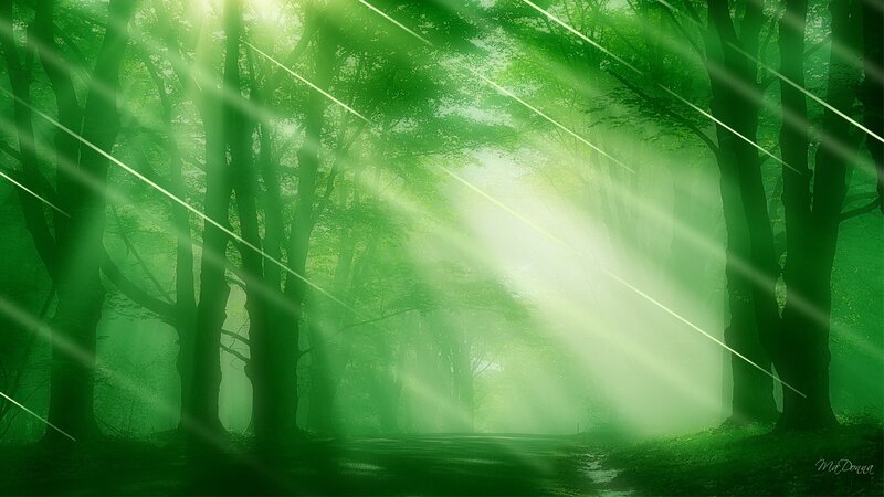 Sunlight Through Forest — Green, Serene, Morning, Digital Art