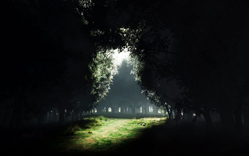 Sunlight Through Forest — Green, Serene, Morning, Digital Art, Trees, Grass, Fog, Black, White