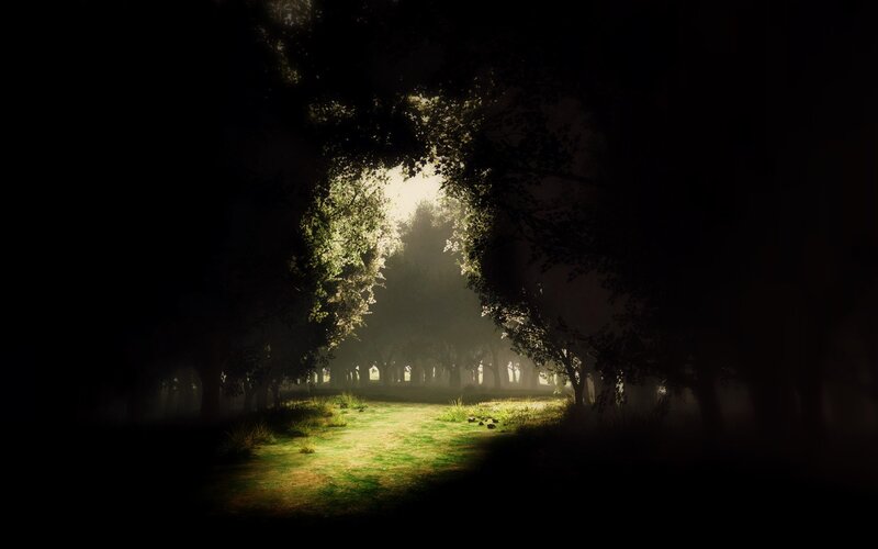 Sunlight Through Forest — Green, Serene, Morning, Digital Art, Trees, Grass, Fog, Black, Yellow