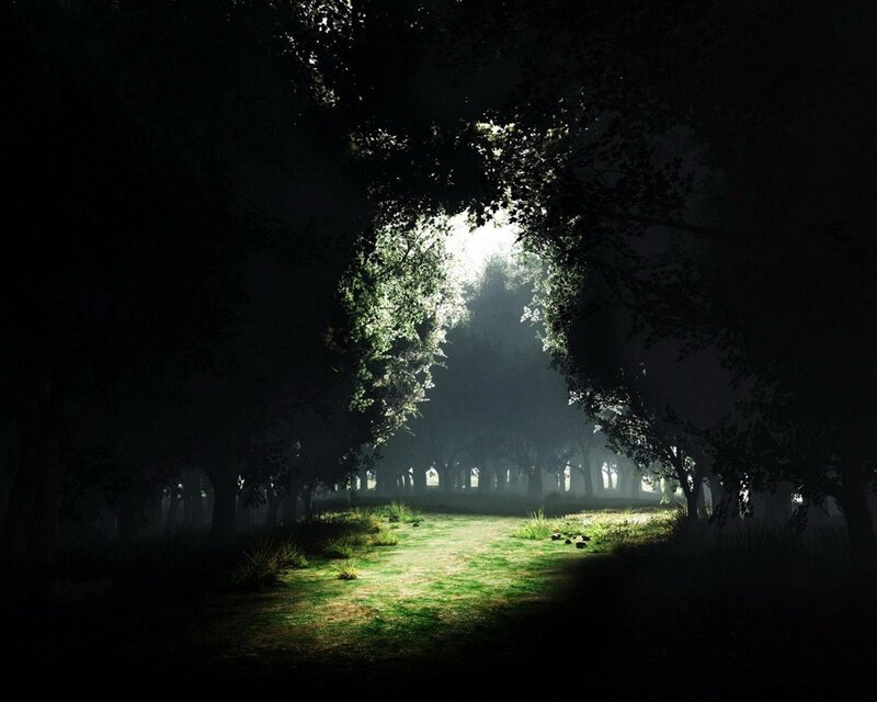 Sunlight Through Forest — Green, Serene, Morning, Digital Art, Trees, Grass, Mist