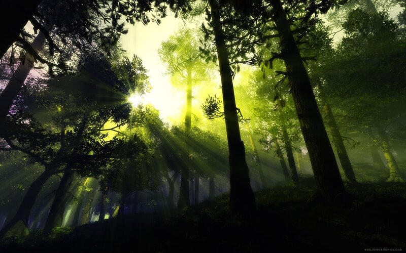 Sunlight Through Forest — Green, Serene, Morning, Digital Art, Trees, Sunbeams