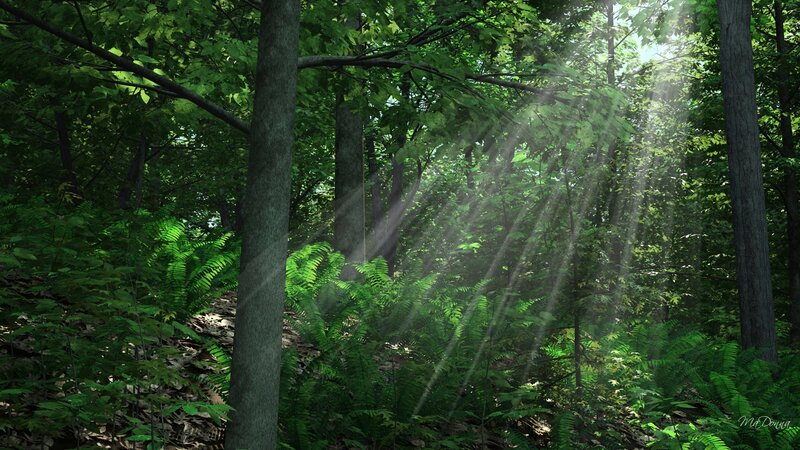 Sunlight Through Forest — Green, Serene, Morning, Digital Art, Trees