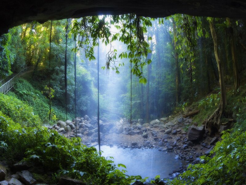 Sunlight Through Forest — Green, Serene, Morning, Photograph, Stream, Cave