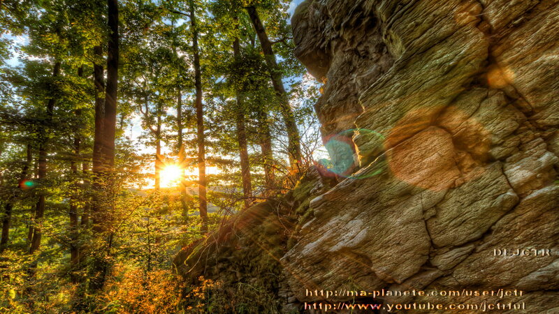 Sunlight Through Forest — Green, Serene, Sunset, Photograph, Trees, Rock