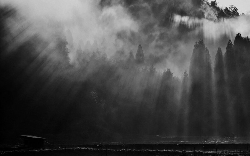 Sunlight Through Forest Mist — Black