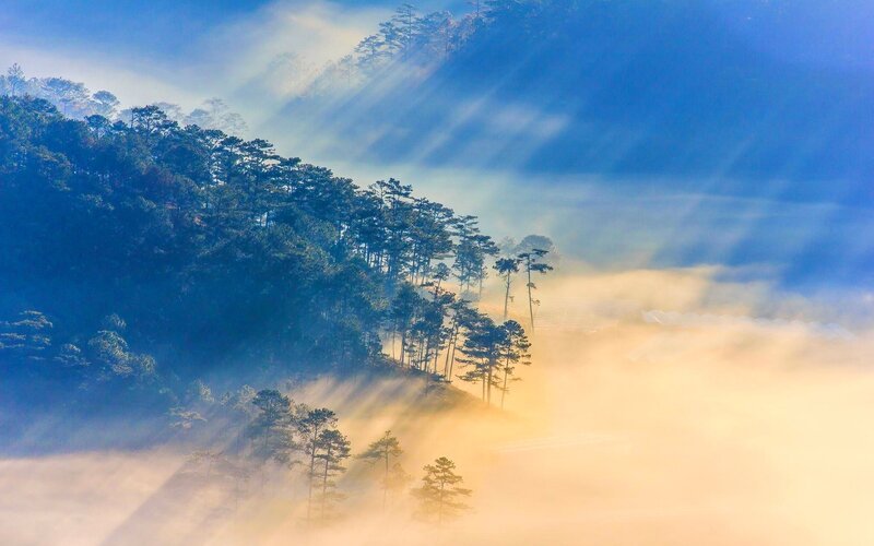 Sunlight Through Forest Mist — Blue, Serene