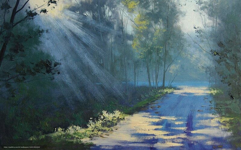 Sunlight through forest path