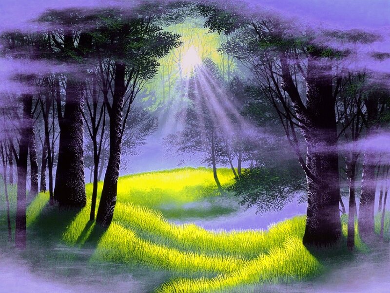 Sunlight Through Forest — Purple, Serene