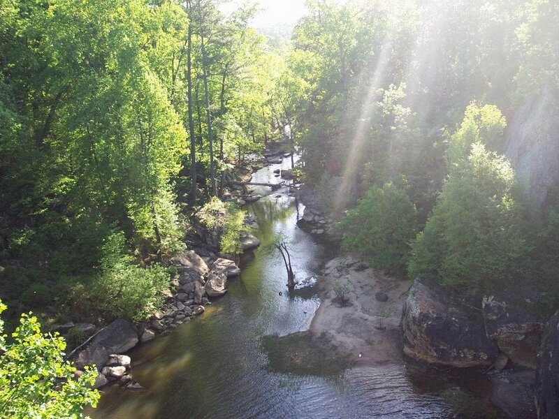Sunlight through forest river