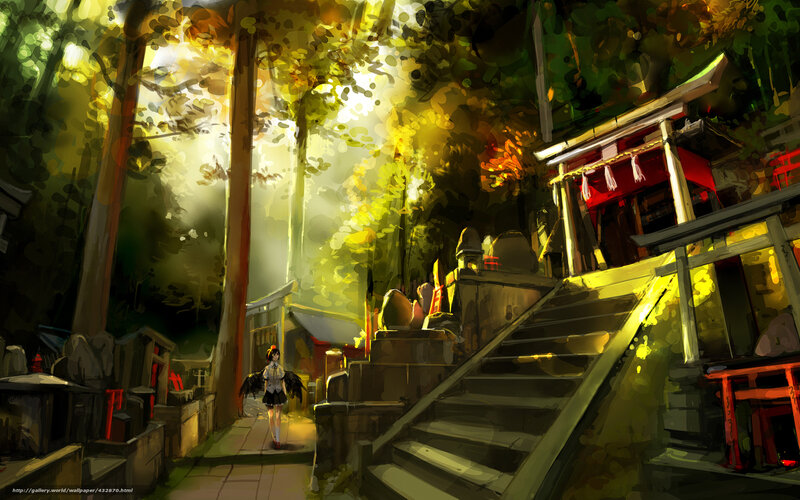 Sunlight through forest shrine