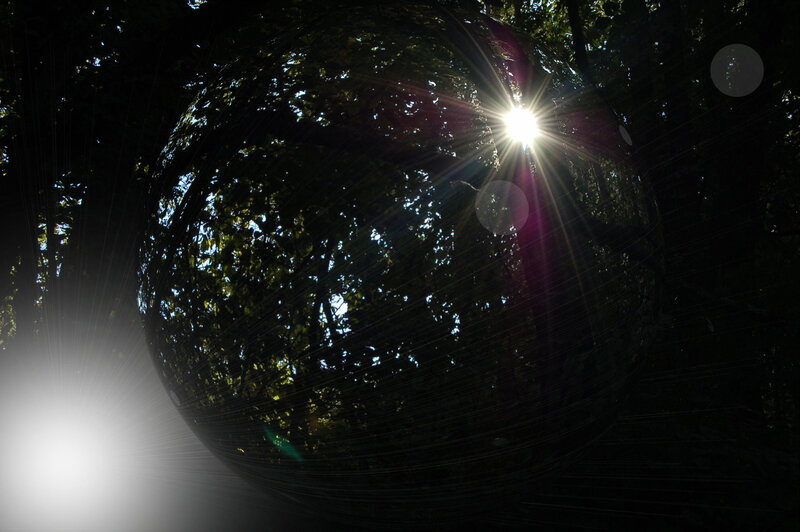 Sunlight through forest sphere