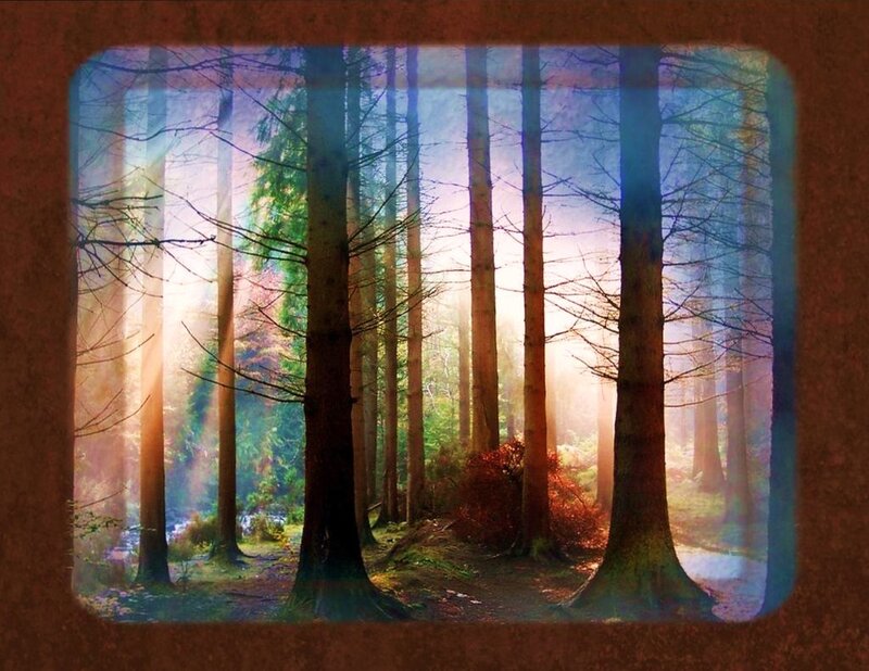 Sunlight Through Forest — Sunbeams, Blue