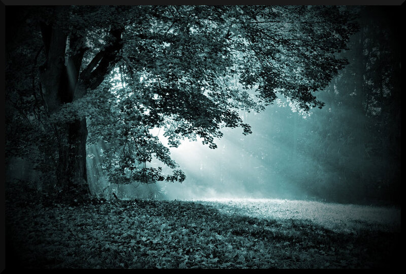 Sunlight Through Forest — Teal