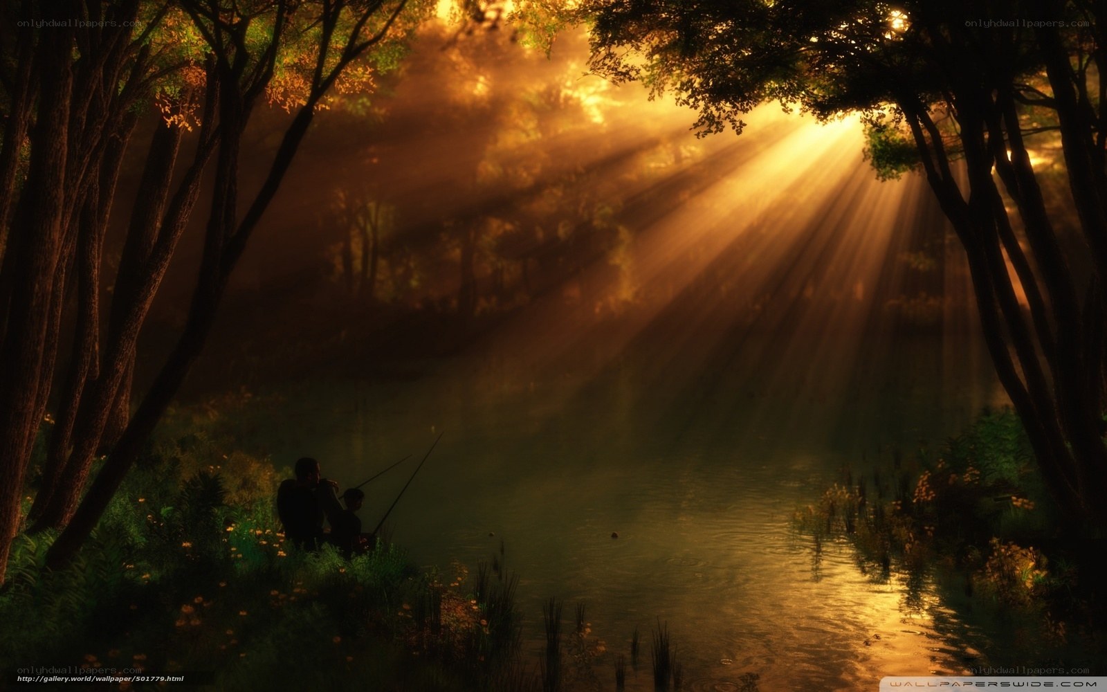 Sunlight through forest trees