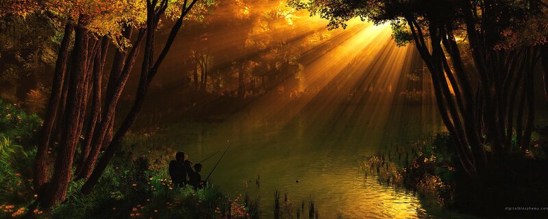 Sunlight through forest trees
