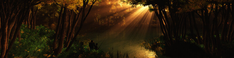 Sunlight through forest trees