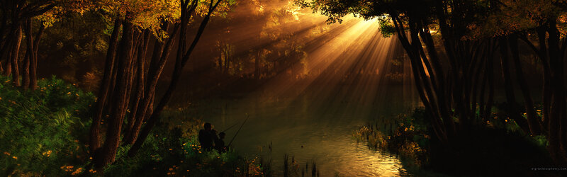 Sunlight through forest trees