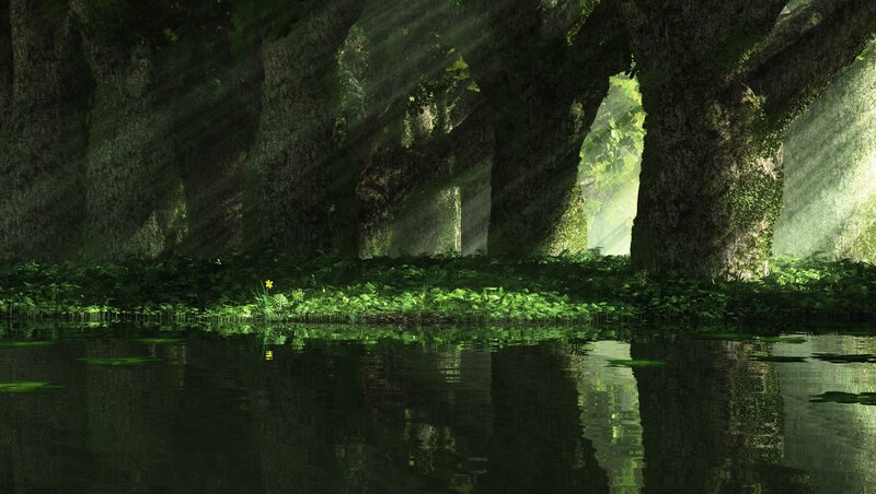 Sunlight through forest trees
