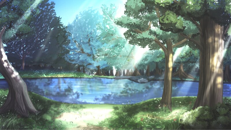 Sunlight through forest trees