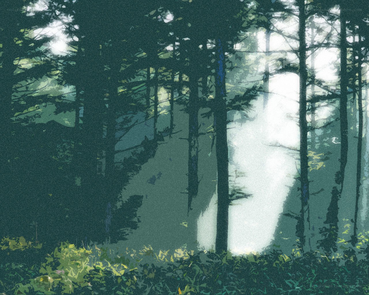Sunlight through forest trees
