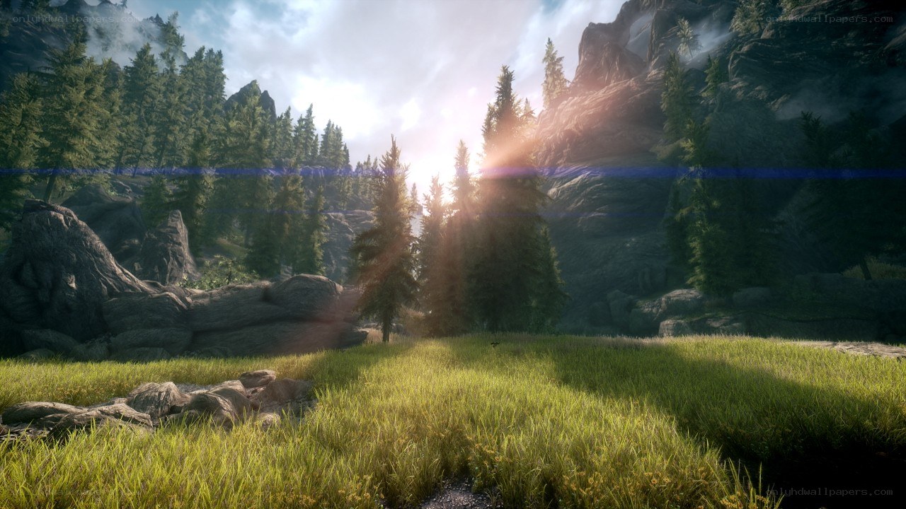 Sunlight through forest valley