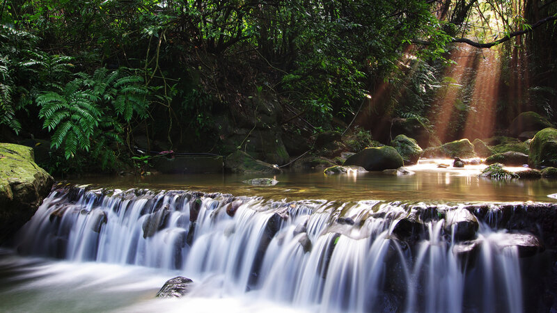 Sunlight through forest waterfall