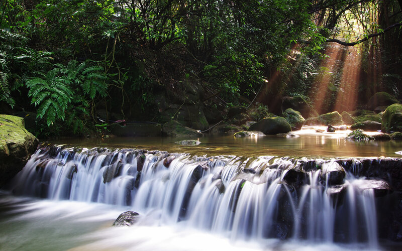 Sunlight through forest waterfall