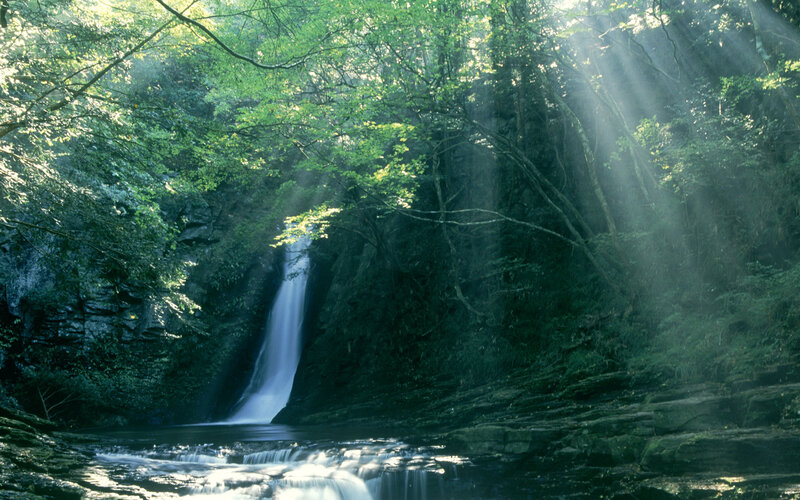 Sunlight through forest waterfall