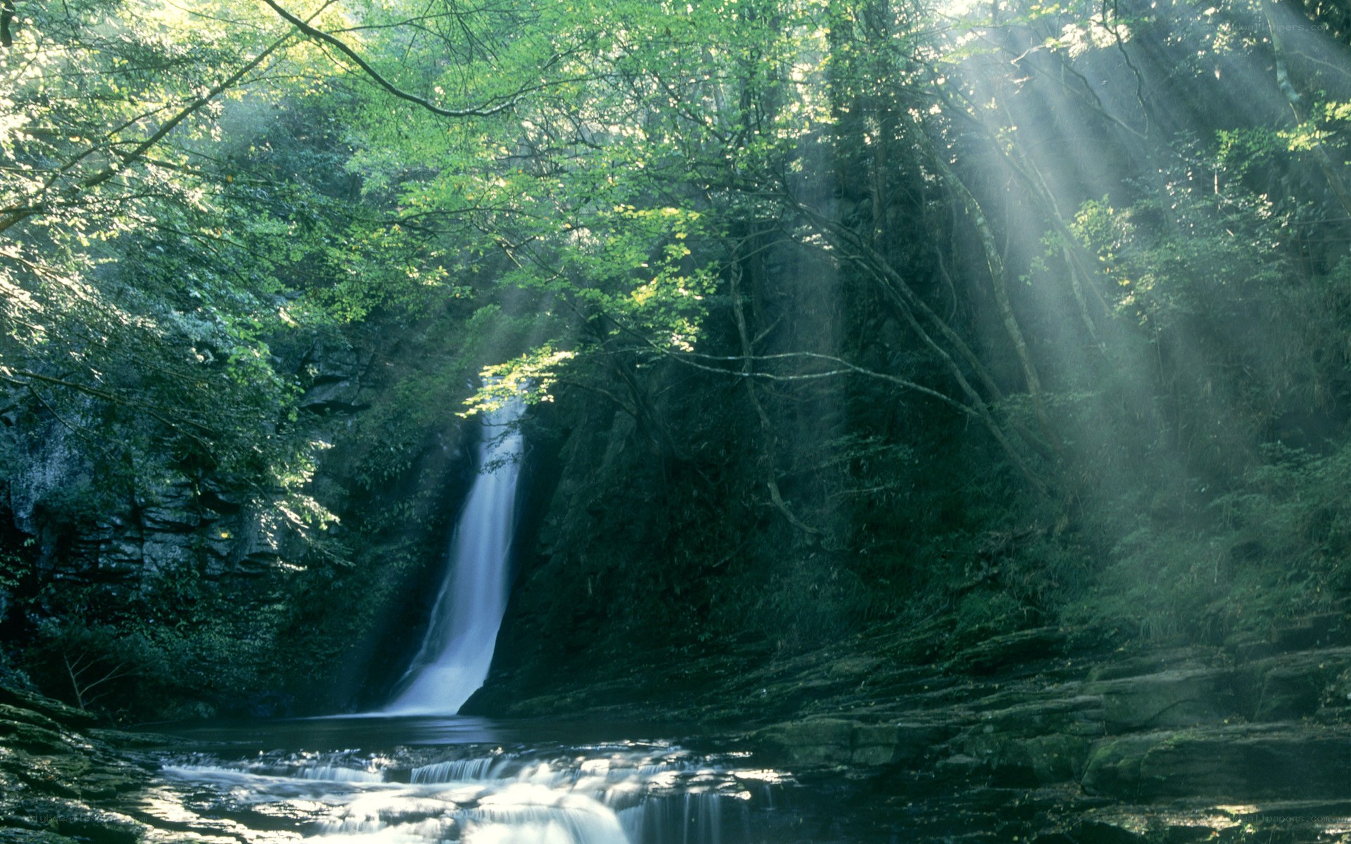 Sunlight through forest waterfall