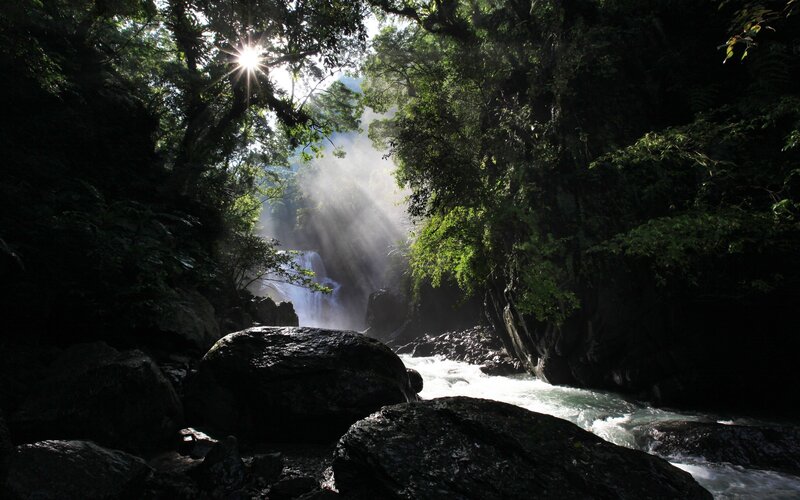 Sunlight through forest waterfall
