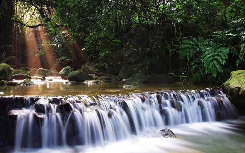 Sunlight through forest waterfall