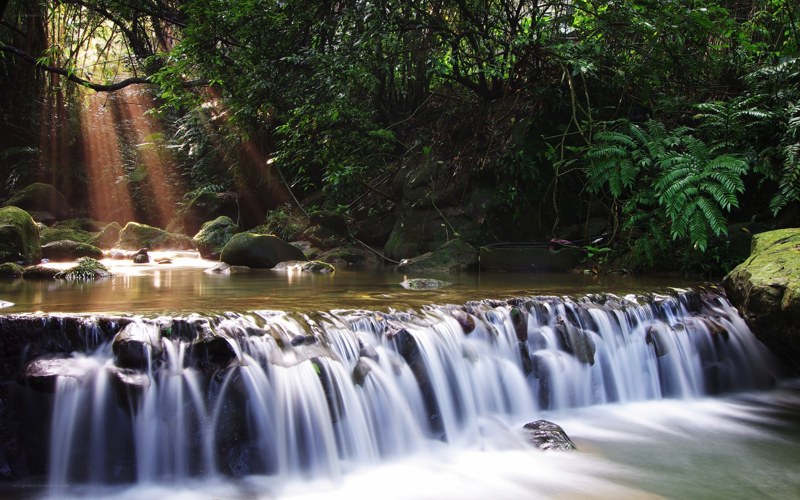 Sunlight through forest waterfall