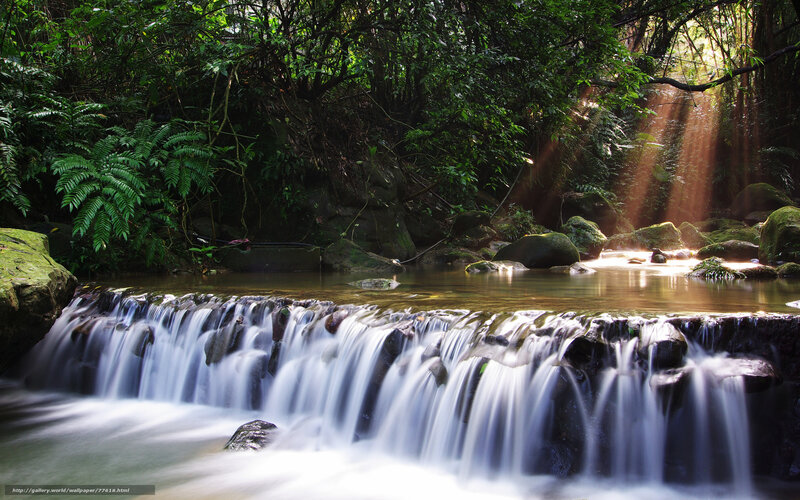 Sunlight through forest waterfall