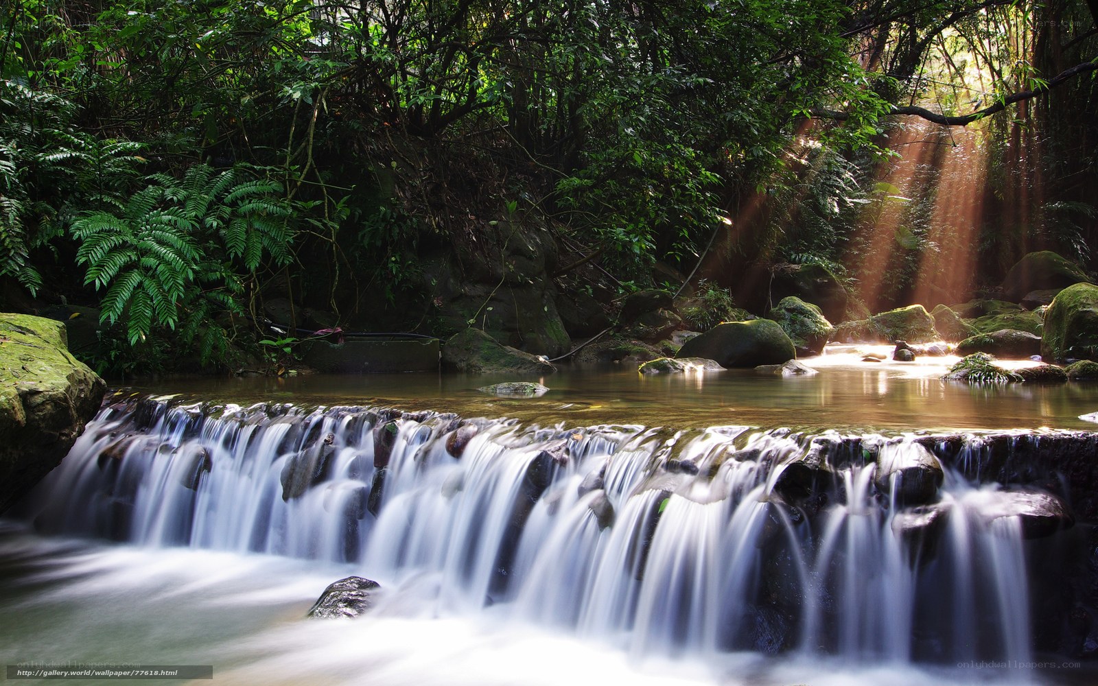 Sunlight through forest waterfall