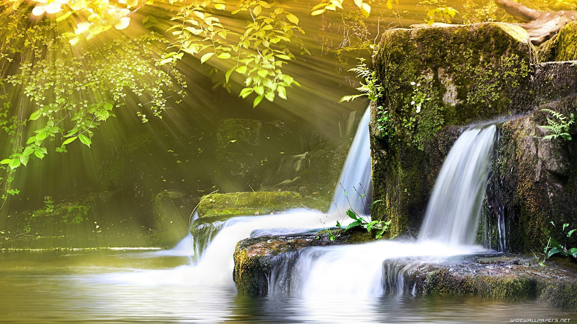 Sunlight through forest waterfall
