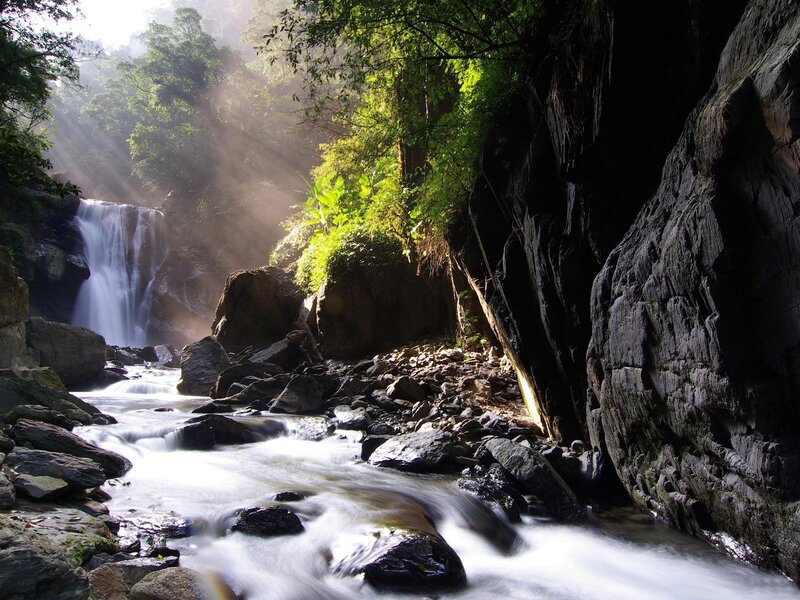 Sunlight through forest waterfall