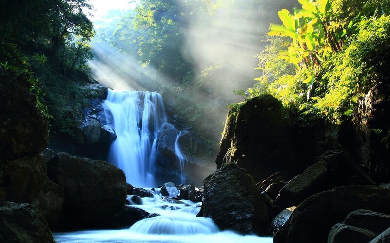 Sunlight through forest waterfall