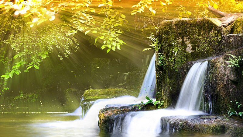 Sunlight through forest waterfall