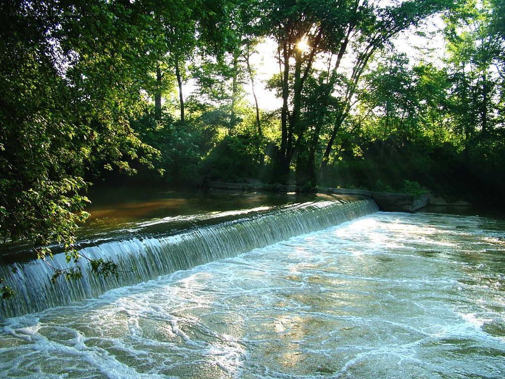 Sunlight through forest waterfall