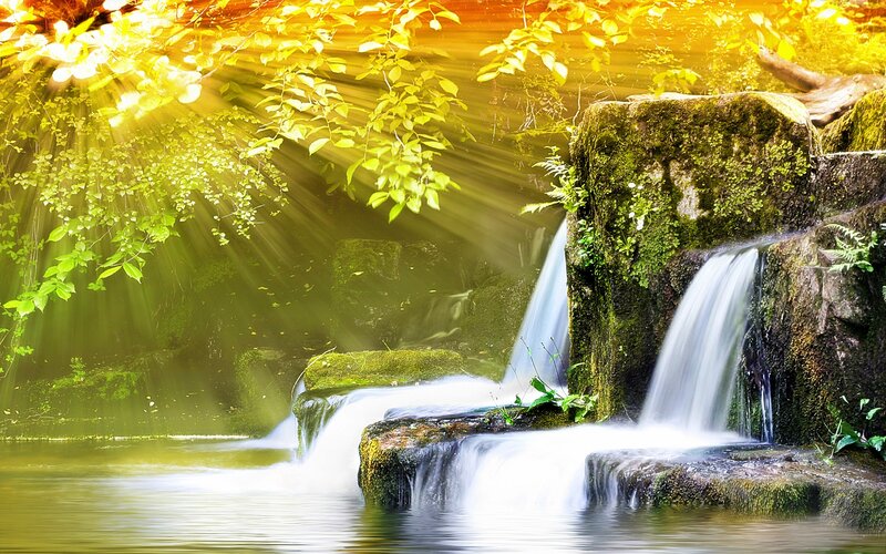 Sunlight through forest waterfall