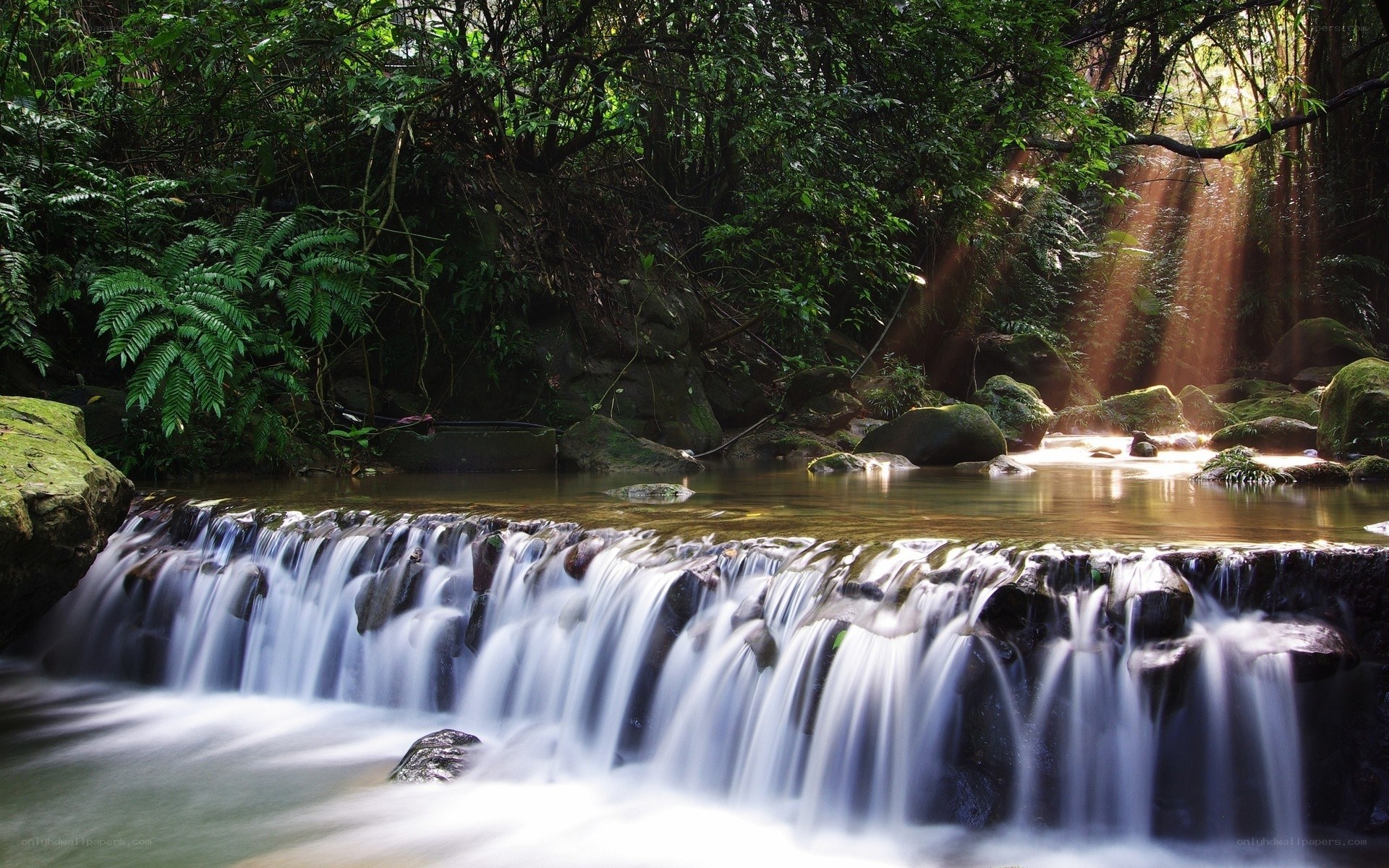 Sunlight through forest waterfall