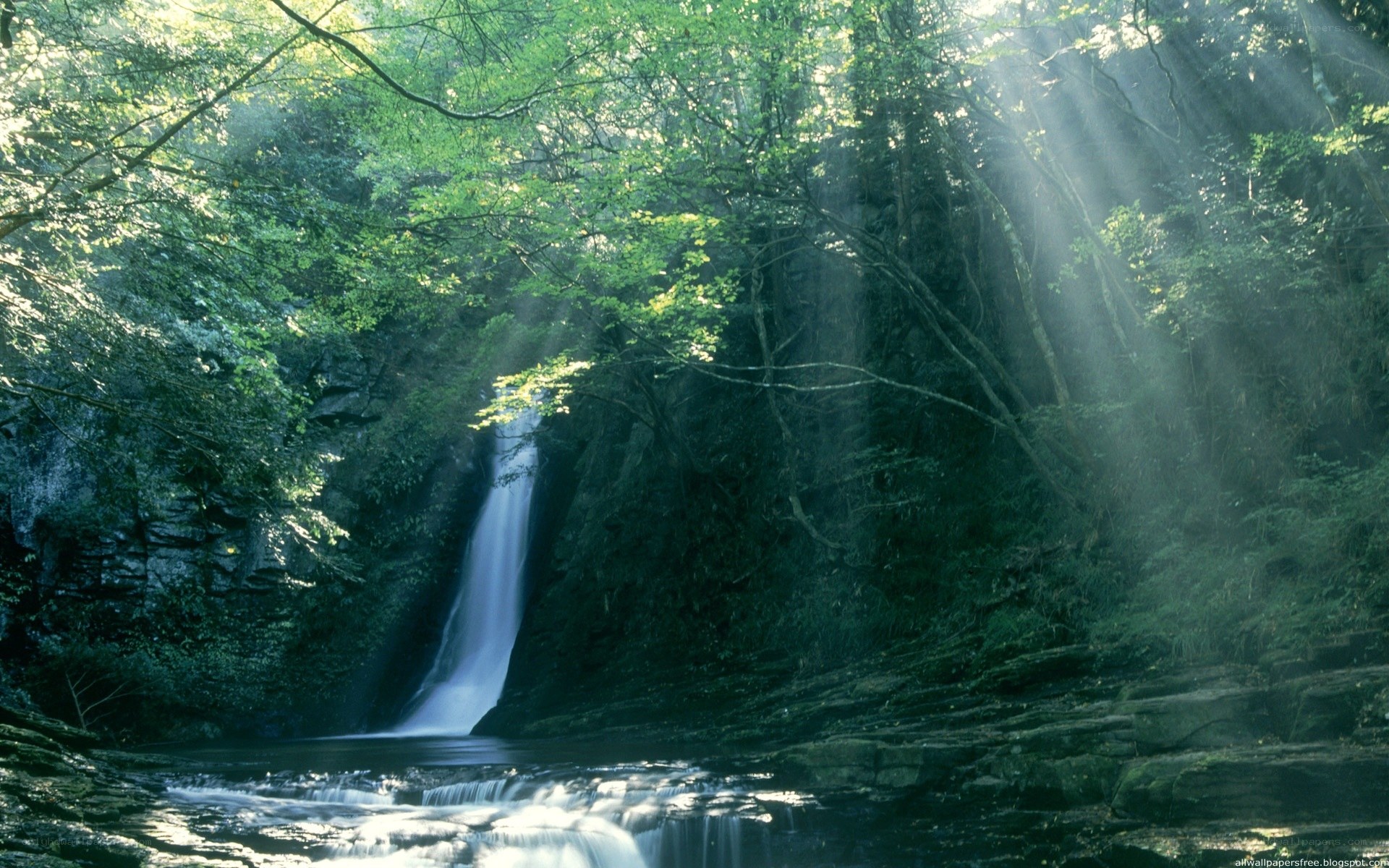 Sunlight through forest waterfall