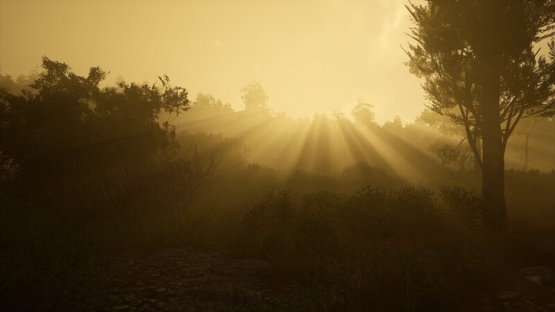 Sunlight Through Forest — Yellow, Serene, Sunrise, 3d Render