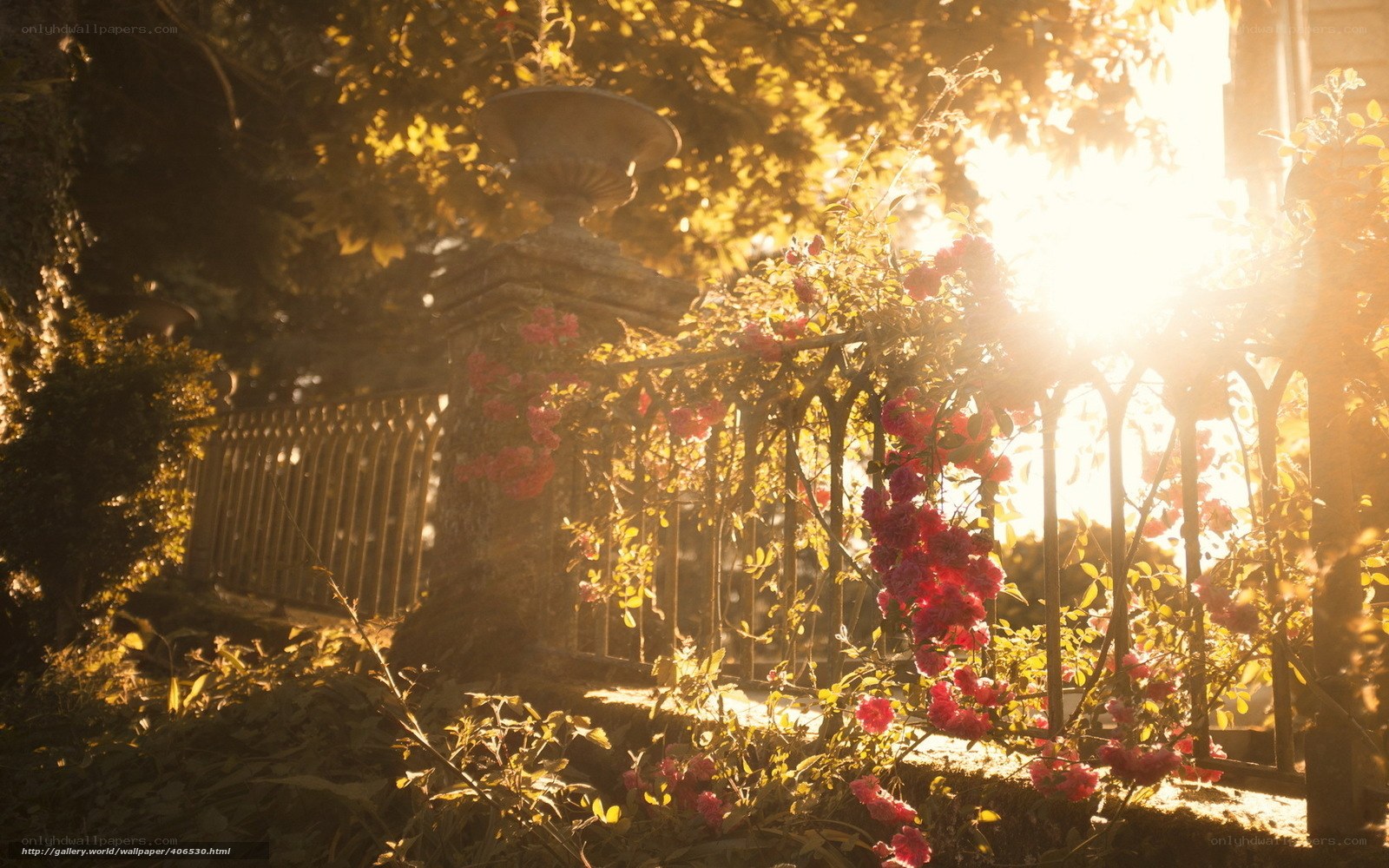 Sunlight through garden fence