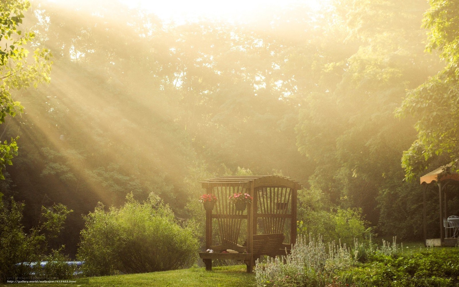 Sunlight through garden trees