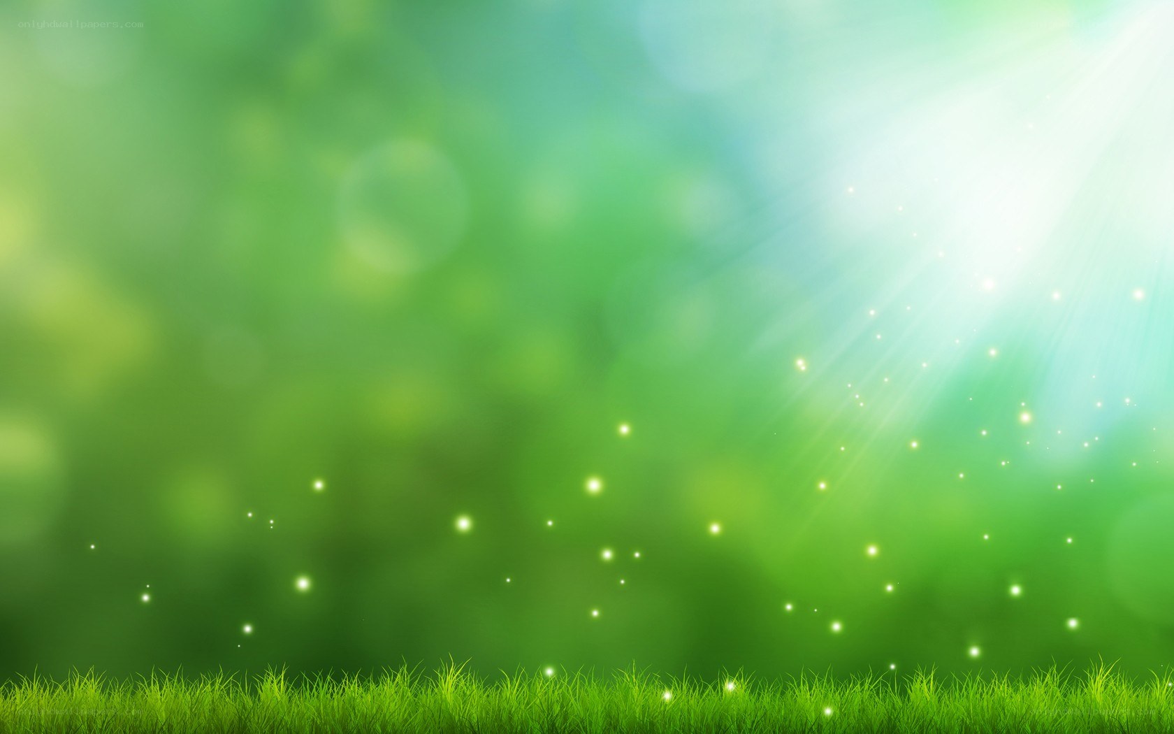 Sunlight through green grass