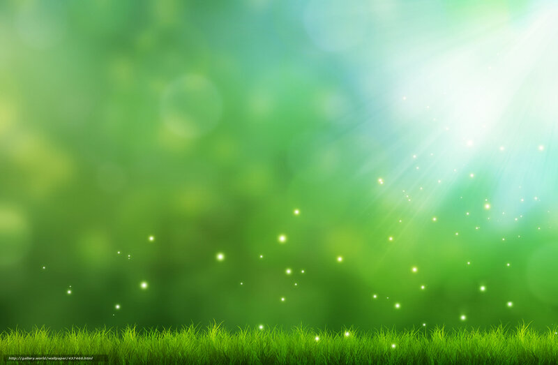 Sunlight through green grass