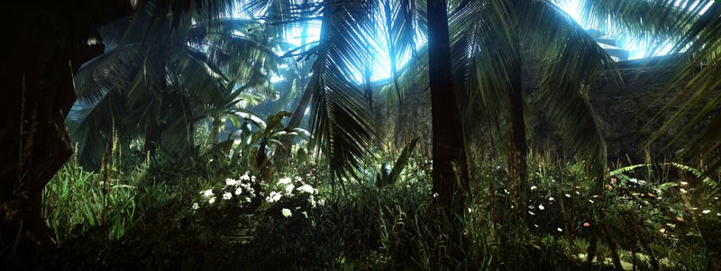 Sunlight through jungle canopy