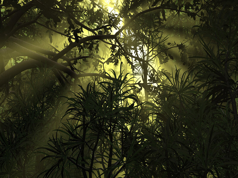 Sunlight Through Jungle Canopy — Green