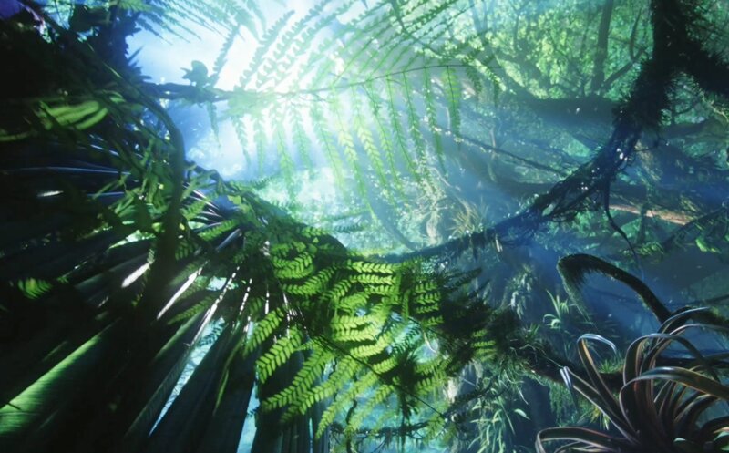 Sunlight through jungle canopy